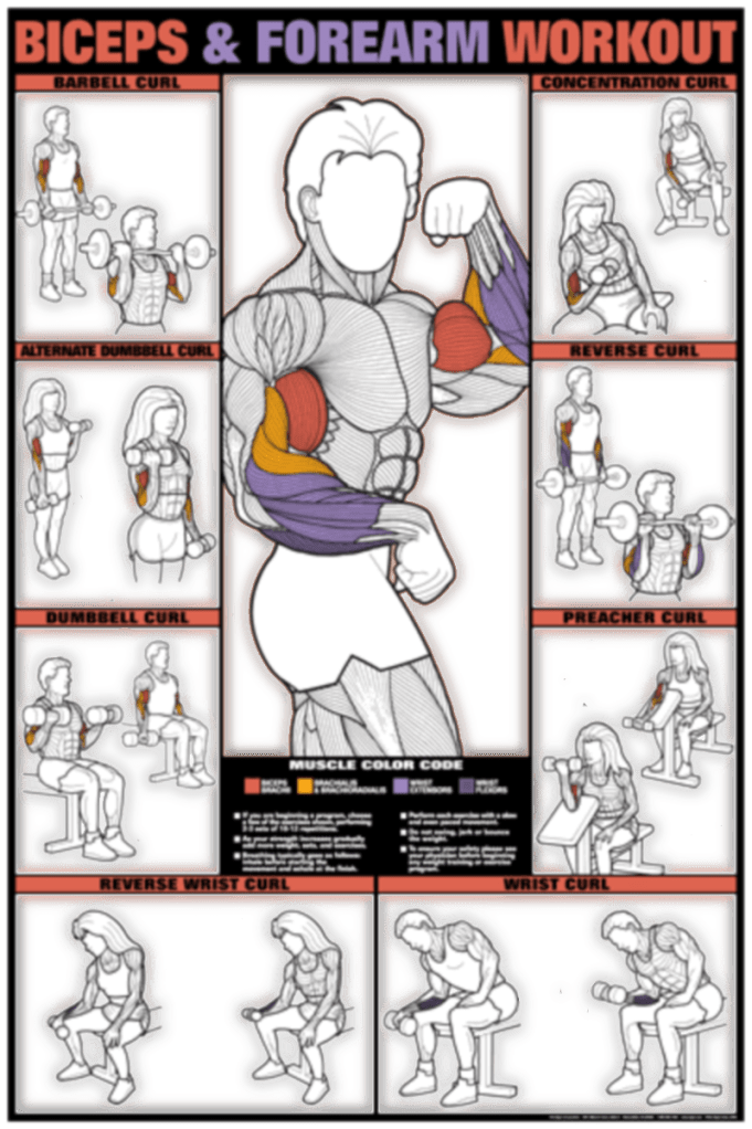 won arms/forearms workout