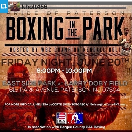 kholt boxing in the park